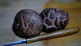 [DIY] Carve on the shiitake mushroom