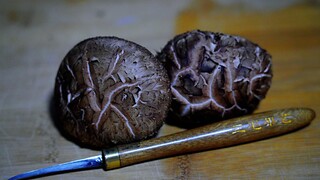 [DIY] Carve on the shiitake mushroom
