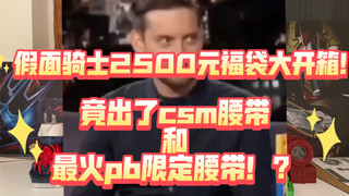 up主斥巨资买来的假面骑士2500元福袋大开箱！！！竟出了csm和最火的pb限定！？