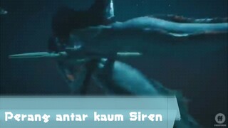 Perang antar Kaum Siren dan Duyung 🙀
