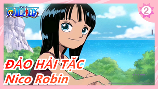 [ĐẢO HẢI TẶC] Đứa con quỷ Nico Robin_2