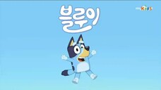 Bluey Theme Song (Korean Version)