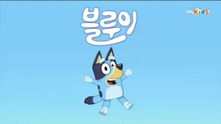 Bluey Theme Song (Korean Version)