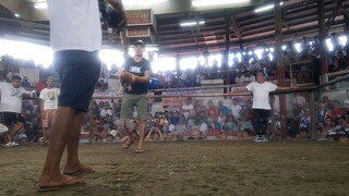 2 hits champion sa Little coliseum