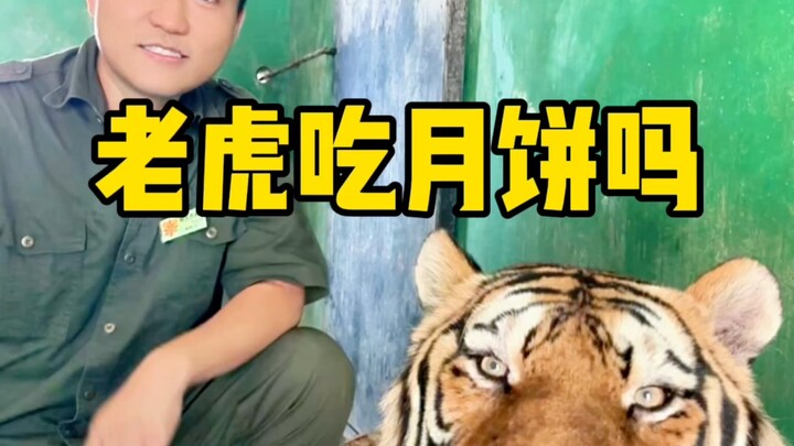 Ini kue bulan atau pizza sih...?