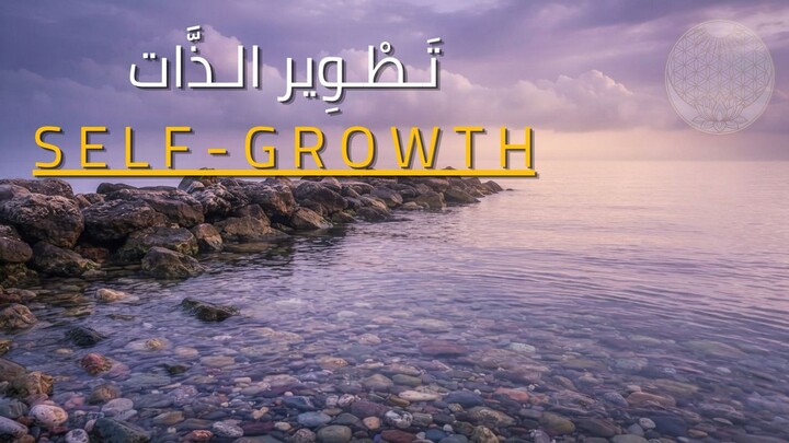 ملاذ العقل | 内心平静与冥想之旅 🧘‍♀️✨ Mind Sanctuary | Inner Peace