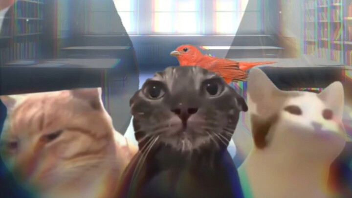 Ignorant but omnipotent——"Bird's Dream" (9)