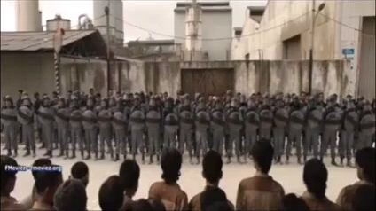 GUNDALA 2019 & 1981
