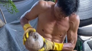 Demi hidup dan keluarga, paman kedua saya tetap bertahan pada profesinya, mengupas kelapa dan memera