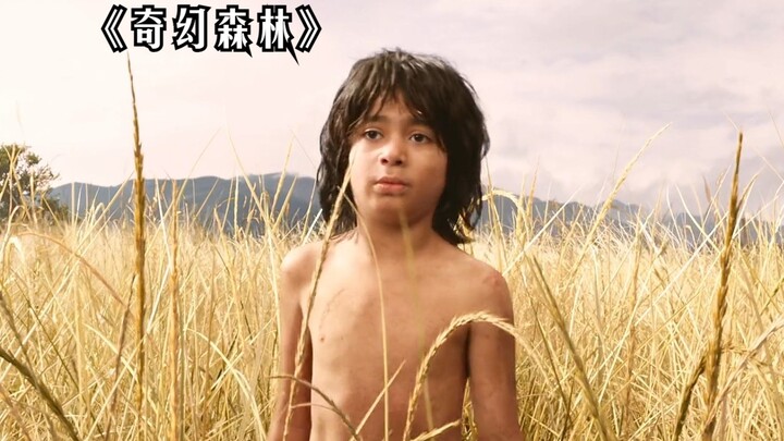 A boy raised by a pack of wolves from childhood dares to take on a ferocious tiger one-on-one at the