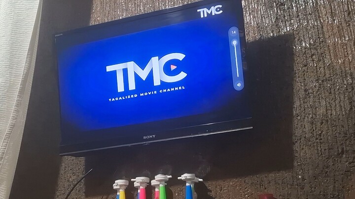 Tagalized Movie Channel - Continuity [01-06-2026]