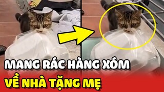 Bó tay với chú Mèo mang RÁC hàng xóm về để TẶNG MẸ 😂 | Yêu Lu