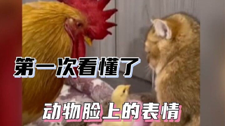 For the first time, I really understood the expressions on animals’ faces—when it turned its head, i