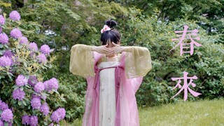 【氵】在美国穿汉服跳《春よ、来い》 |  生日作 和羽生选手一样绽放在自己的春天吧