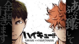[Haikyuu!! /MAD] FLY HIGH!!!