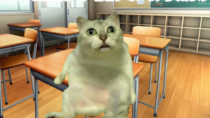 【Cat meme】What happens when you are diagnosed with autism as an adult?