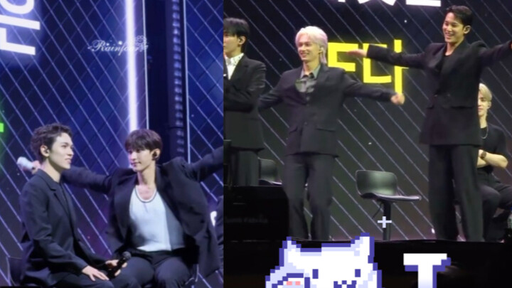 Bonongni adalah adik kecil T yang berharga dari SVT.