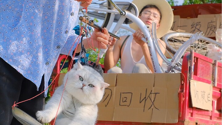 Về làng – Phần tôi làm kẻ vô dụng giữa làng