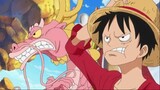 Khoảnh Khắc Hài Hước Của Luffy và Momonosuke