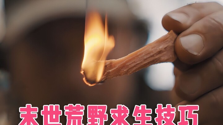 末世荒野求生技巧3.5