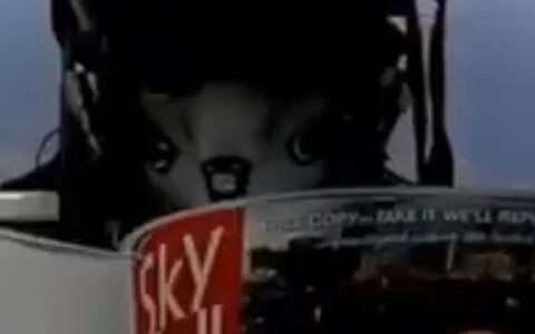 How Much Free Time Does the Other Pilot in a Two-Seat Fighter Have?