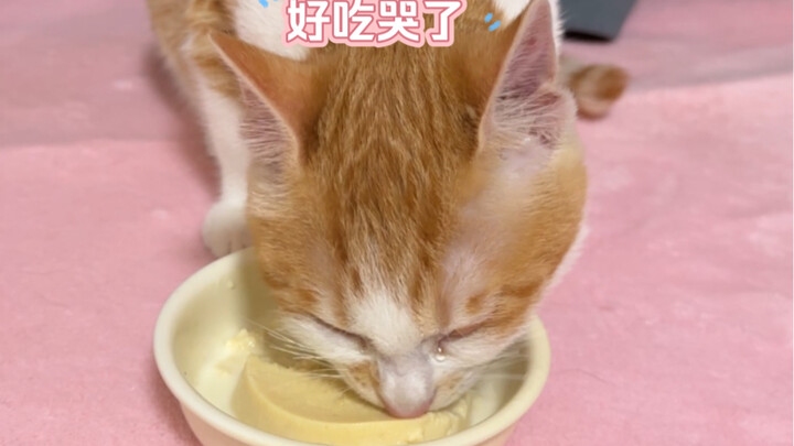 Today’s egg pancake was so delicious it made me cry.