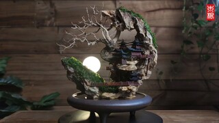 Mini Moon Miniature Garden