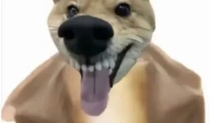 TIKTOK搞笑：我可是玉面抽象王！