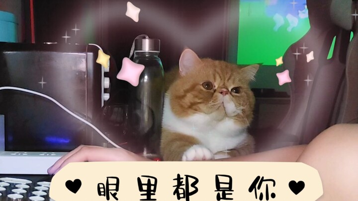 谁能拒绝这么可爱的小猫咪呢【加菲猫财财】