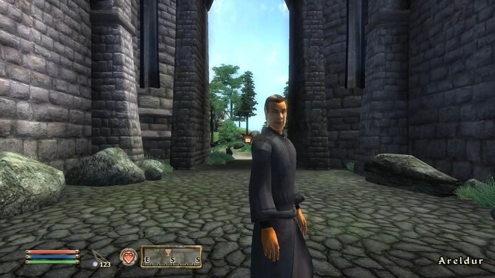 The Elder Scrolls IV: Oblivion - Part 29