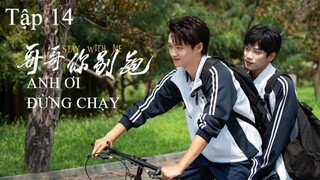 Anh Ơi Đừng Chạy - Tập 14 | Vietsub
