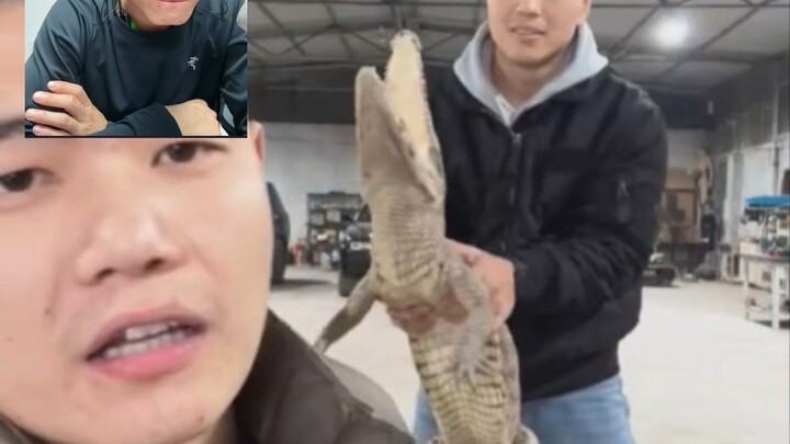 Pan Hong is just too all-around! Even Croc has to “send in”!