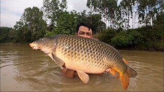 Thả Lưới Bắt Cá Dính Ngay Cụ Chép Khổng Lồ 10kg| Săn Bắt Ẩm Thực Vùng Cao