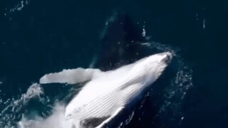 上帝实际所在：