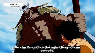 Top 7 Người Có _Ý Chí Của D_ Trong One Piece #24- 14