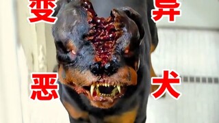 เด็กสาวถูกสุนัขดุไล่ล่า วินาทีต่อมาเกิดการกลายพันธุ์意外