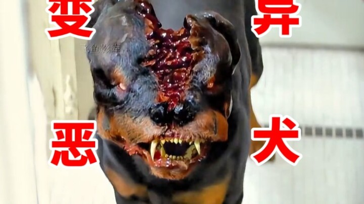 Girl chased by vicious dog suddenly mutates the next second