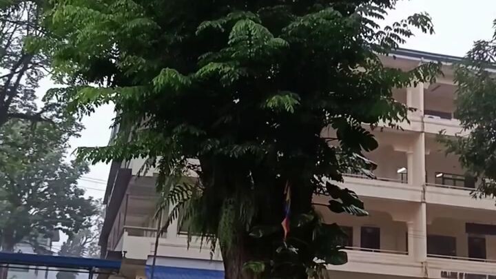 rainy afternoon