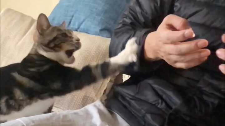 ตัดเล็บให้คนแก่