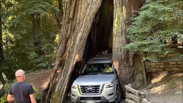 The irresistible charm of machinery~