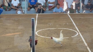 WIN urdaneta coliseum 1/24/25