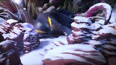 Boboiboy The Movie_2 HD