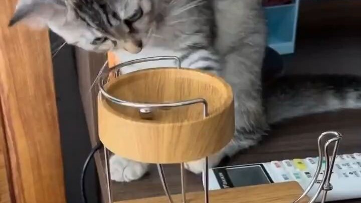 Archimedes