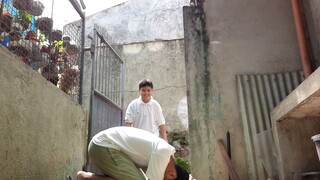 LUKSONG BAKA SA BAHAY