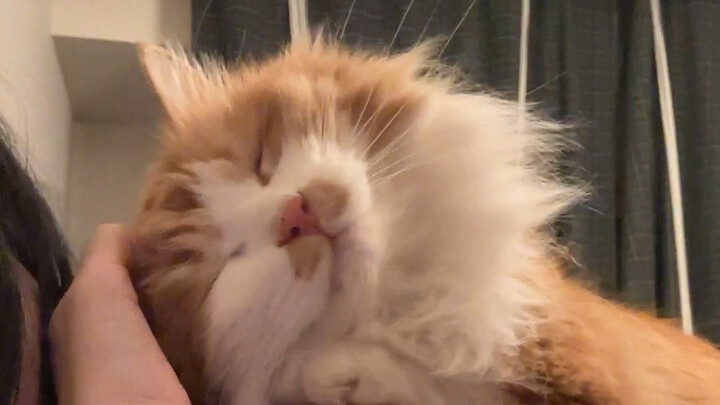 นอนแค่นี้ก็ครึ่งชั่วโมงแล้ว!