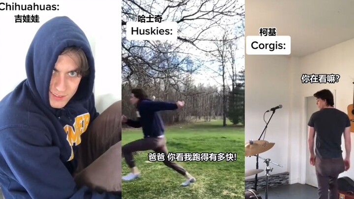 不同品种的狗子变成人了会是什么样的？