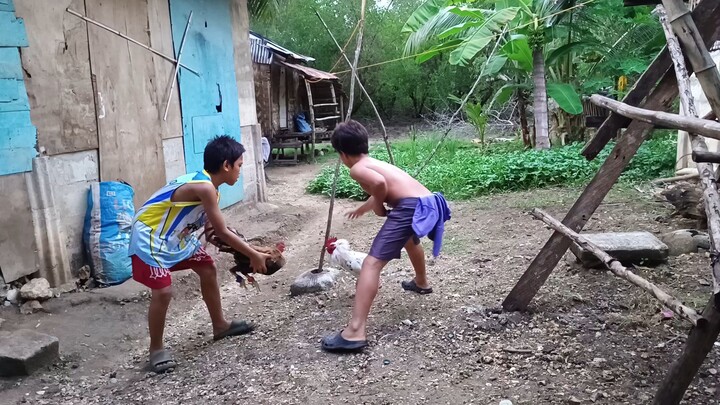 White Kelso X  Leiper Grey VS Bulik Spar