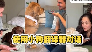 当使用小狗翻译器和宠物小狗对话时 猜猜小狗能真的听懂吗？