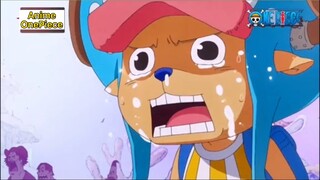 Chopper ra sức ngăn cản Sanji nhìn gái xinh