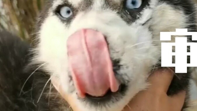 Let me show you the bright red, and take a look at the base by the way.